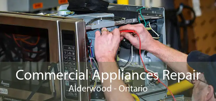 Commercial Appliances Repair Alderwood - Ontario