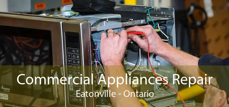 Commercial Appliances Repair Eatonville - Ontario