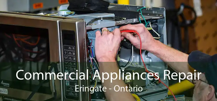 Commercial Appliances Repair Eringate - Ontario
