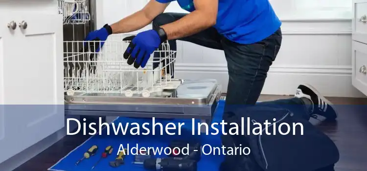 Dishwasher Installation Alderwood - Ontario