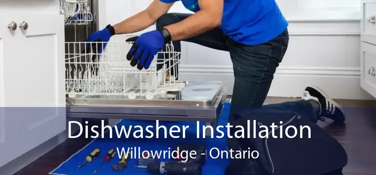 Dishwasher Installation Willowridge - Ontario