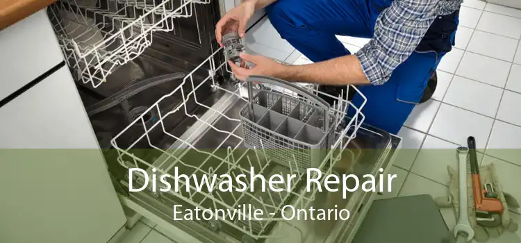 Dishwasher Repair Eatonville - Ontario