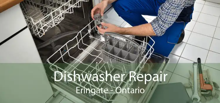 Dishwasher Repair Eringate - Ontario