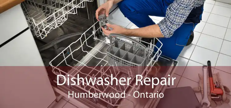 Dishwasher Repair Humberwood - Ontario