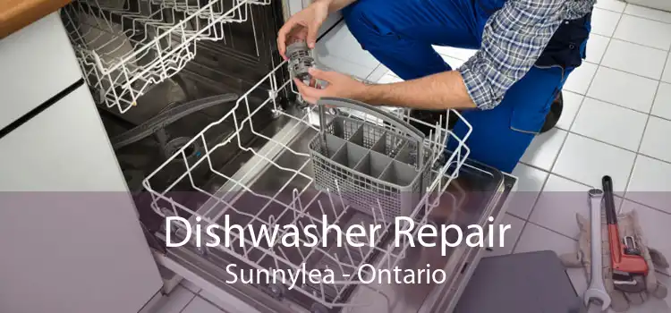 Dishwasher Repair Sunnylea - Ontario