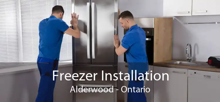 Freezer Installation Alderwood - Ontario
