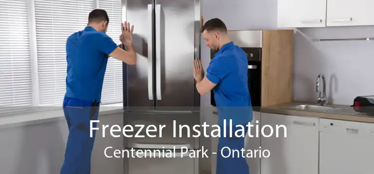 Freezer Installation Centennial Park - Ontario