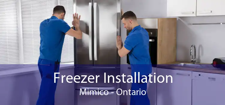 Freezer Installation Mimico - Ontario