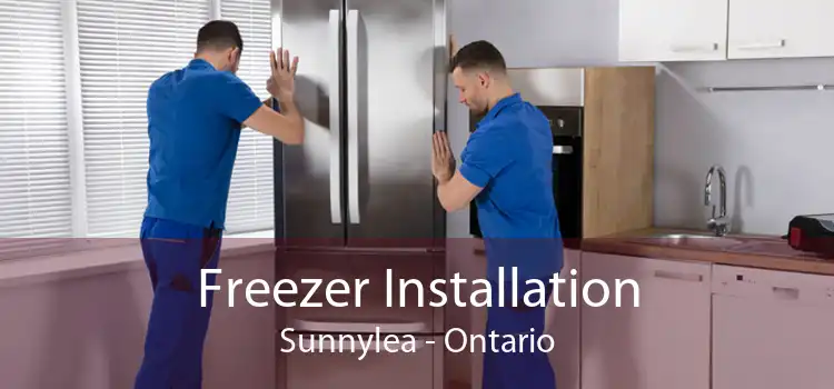 Freezer Installation Sunnylea - Ontario