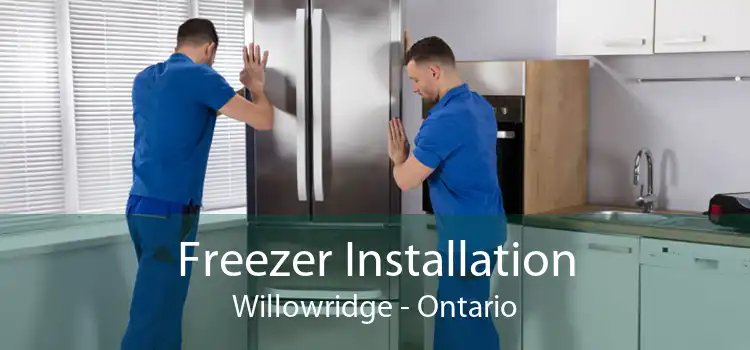 Freezer Installation Willowridge - Ontario