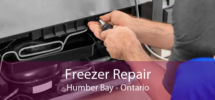 Freezer Repair Humber Bay - Ontario
