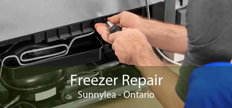 Freezer Repair Sunnylea - Ontario