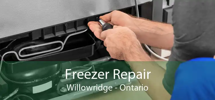 Freezer Repair Willowridge - Ontario