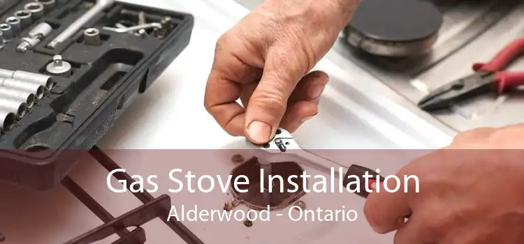 Gas Stove Installation Alderwood - Ontario