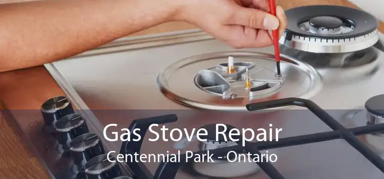 Gas Stove Repair Centennial Park - Ontario