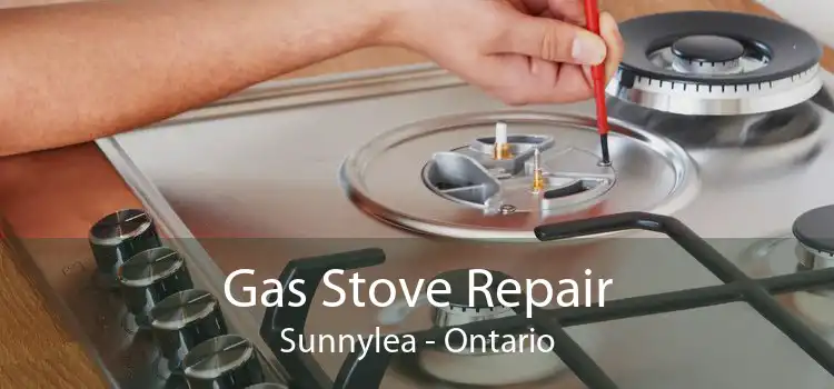 Gas Stove Repair Sunnylea - Ontario
