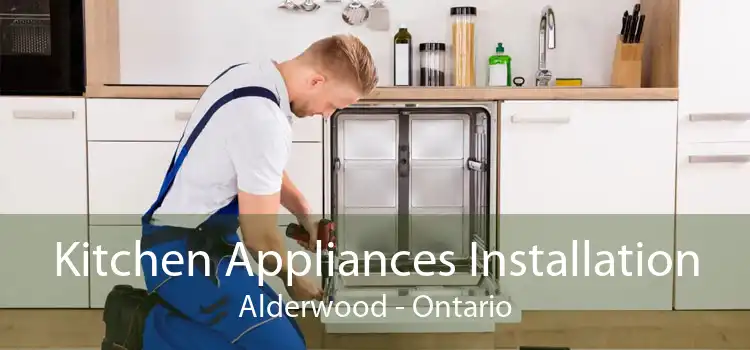 Kitchen Appliances Installation Alderwood - Ontario