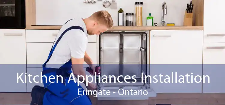 Kitchen Appliances Installation Eringate - Ontario