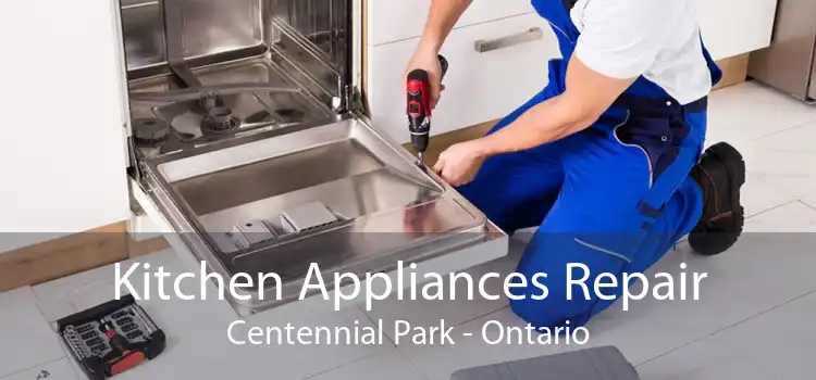 Kitchen Appliances Repair Centennial Park - Ontario