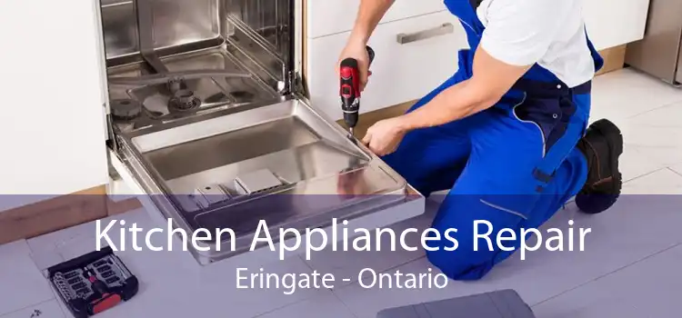 Kitchen Appliances Repair Eringate - Ontario