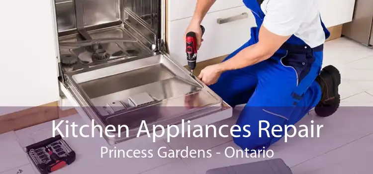 Kitchen Appliances Repair Princess Gardens - Ontario