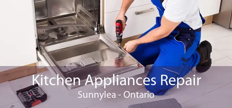 Kitchen Appliances Repair Sunnylea - Ontario