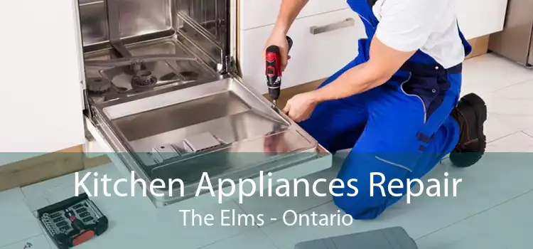 Kitchen Appliances Repair The Elms - Ontario