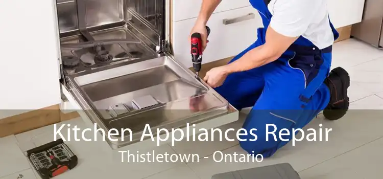 Kitchen Appliances Repair Thistletown - Ontario