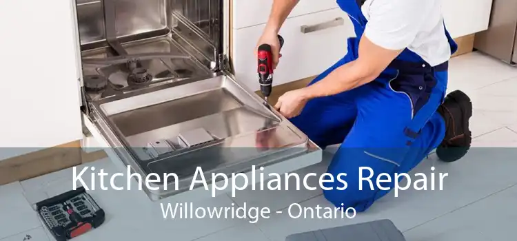 Kitchen Appliances Repair Willowridge - Ontario