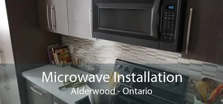 Microwave Installation Alderwood - Ontario