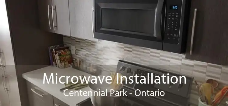 Microwave Installation Centennial Park - Ontario