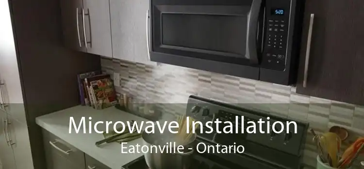 Microwave Installation Eatonville - Ontario