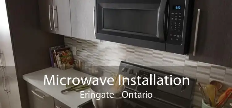 Microwave Installation Eringate - Ontario