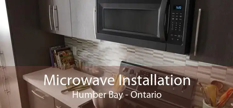Microwave Installation Humber Bay - Ontario