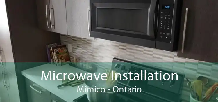 Microwave Installation Mimico - Ontario