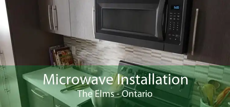 Microwave Installation The Elms - Ontario