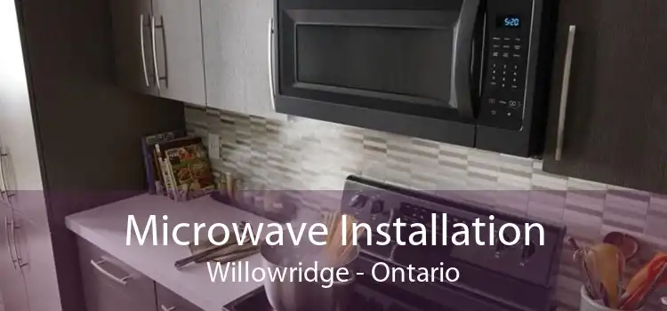 Microwave Installation Willowridge - Ontario
