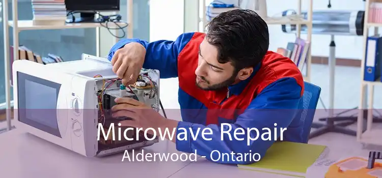 Microwave Repair Alderwood - Ontario