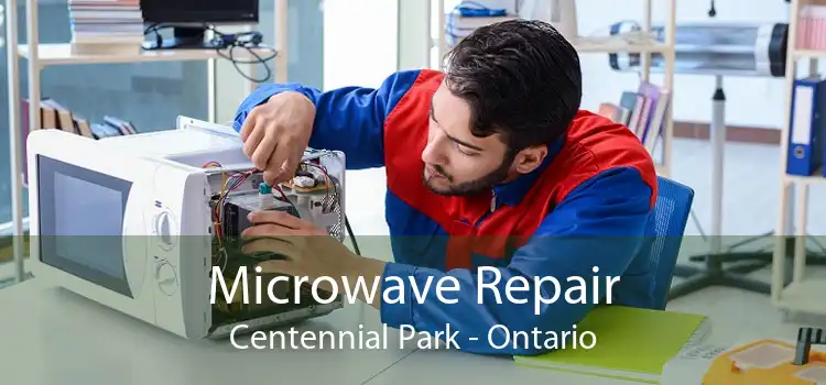 Microwave Repair Centennial Park - Ontario