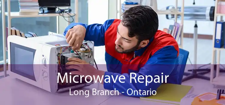 Microwave Repair Long Branch - Ontario