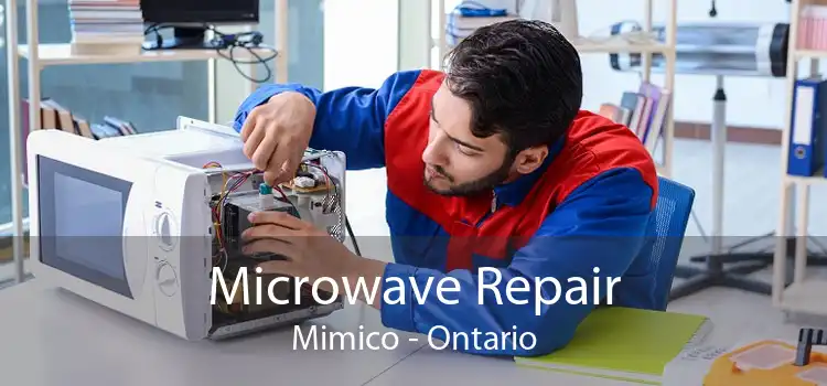 Microwave Repair Mimico - Ontario