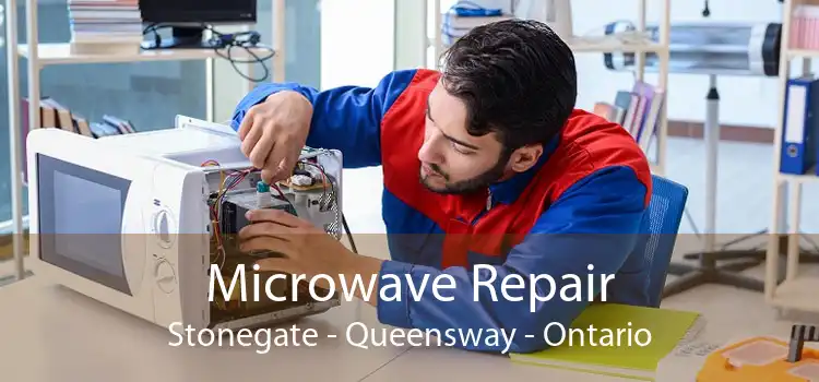 Microwave Repair Stonegate - Queensway - Ontario