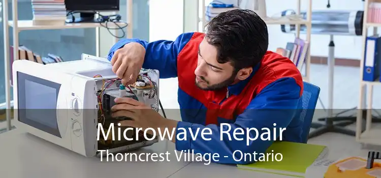 Microwave Repair Thorncrest Village - Ontario