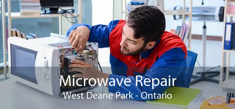 Microwave Repair West Deane Park - Ontario