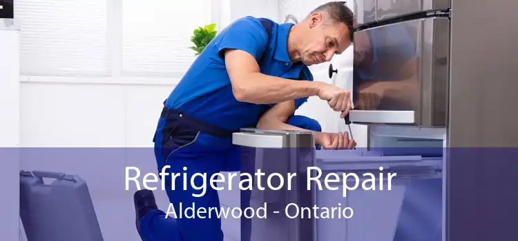 Refrigerator Repair Alderwood - Ontario
