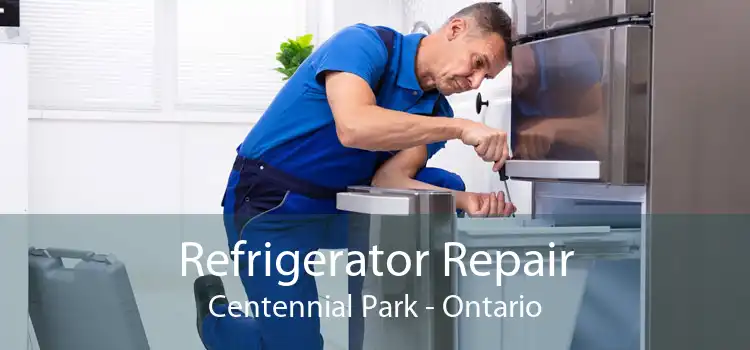 Refrigerator Repair Centennial Park - Ontario