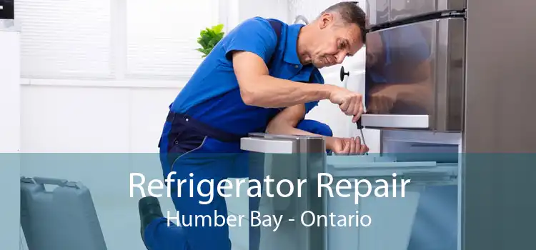 Refrigerator Repair Humber Bay - Ontario
