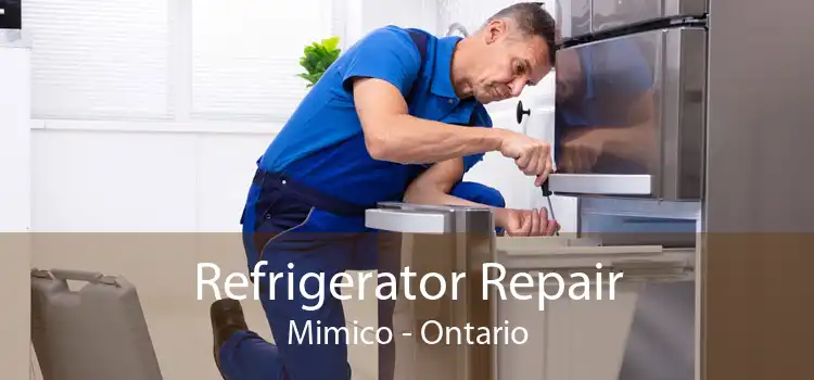 Refrigerator Repair Mimico - Ontario