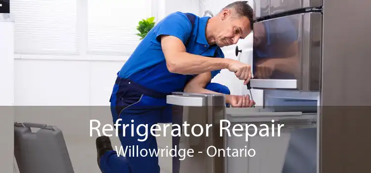 Refrigerator Repair Willowridge - Ontario