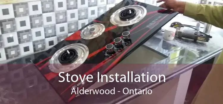 Stove Installation Alderwood - Ontario